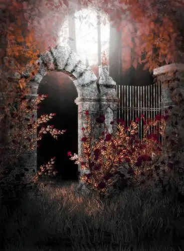 一组精美的婚纱背景素材【引用】 - lulumacha - lulumachas blog