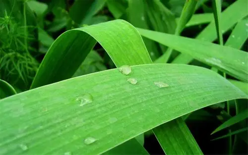 非主流文艺范小清新唯美图片桌面壁纸高清