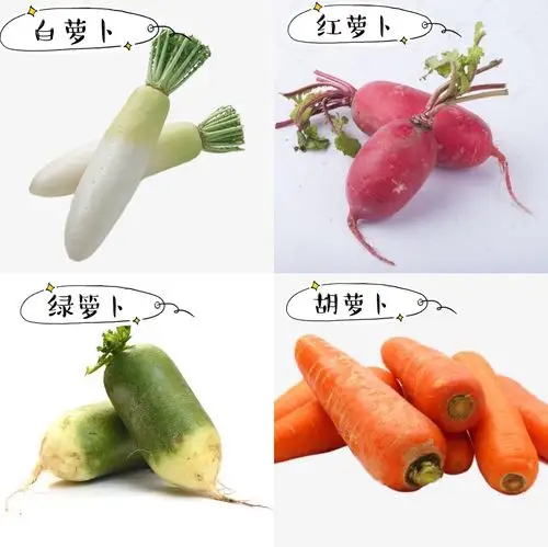 霜降——萝卜变变变