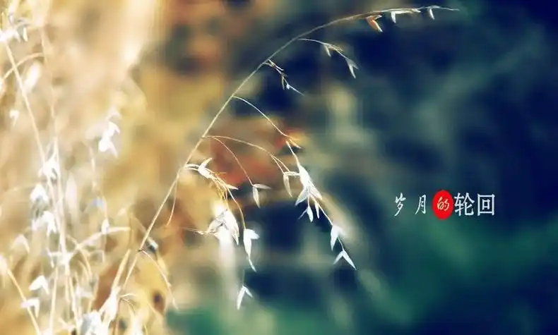 轮回_时光_岁月_生命