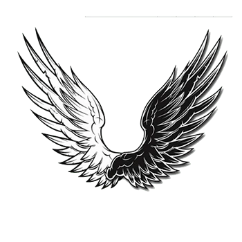 黑白酷炫翅膀矢量元素