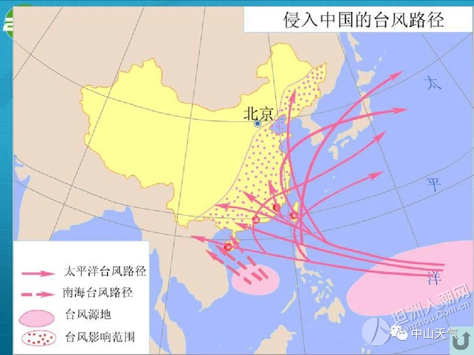 "最美"台风逆行者——2109(卢碧),给坦洲带来了什么?