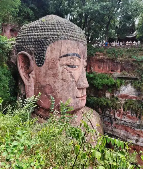 入川乐山一日游