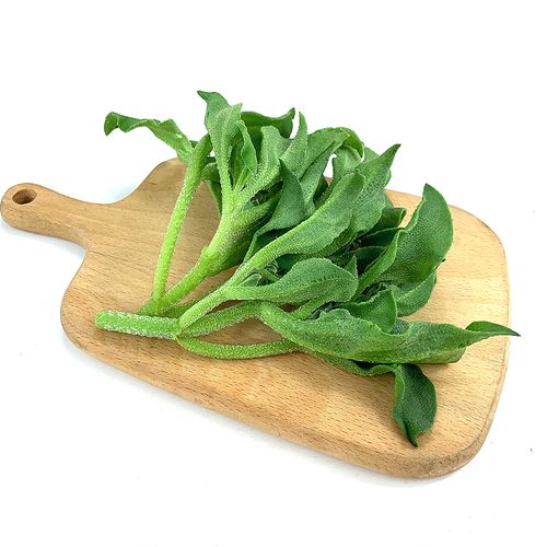 新鲜冰草250g冰菜冰叶西餐凉拌酒店火锅生吃叶菜类