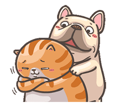 可爱猫咪狗狗捶背友爱gif动图_动态图_表情包下载_soogif