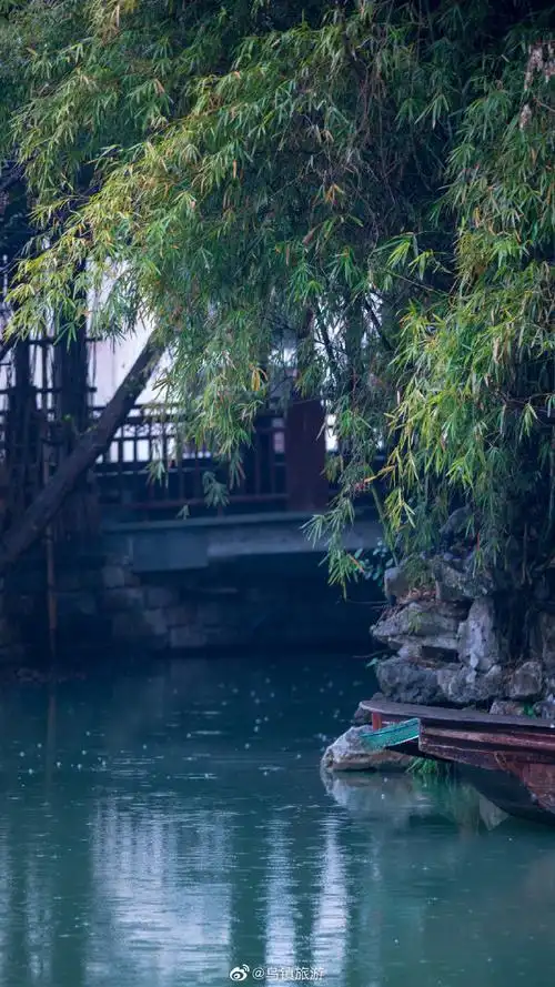 #乌镇##雨##浙江明天将迎大范围强降雨#