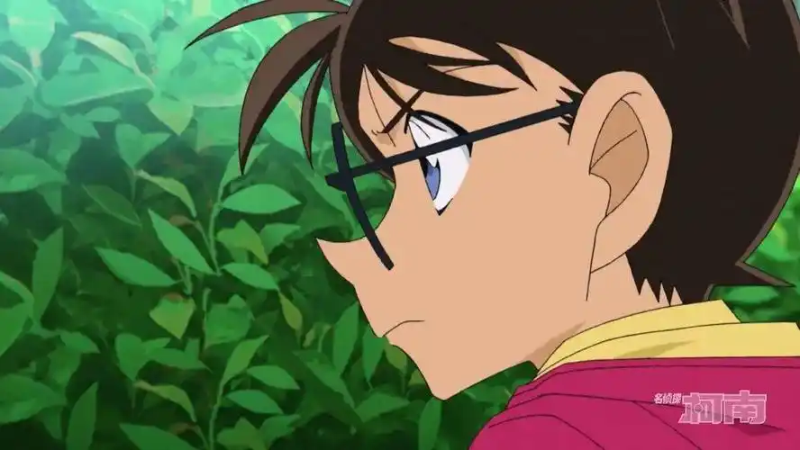 《名柯》中的十大"特点",难道只有我一个人觉得是这样?_柯南