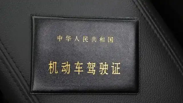 机动车|校车|行驶证|驾驶证|违法_网易订阅