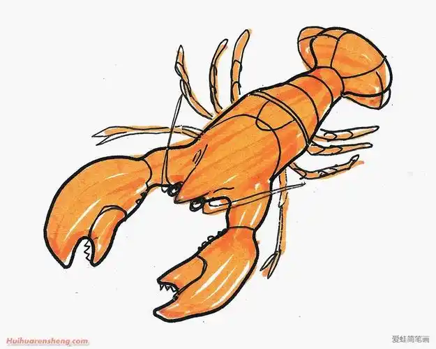 龙虾简笔画_海洋生物简笔画-简笔画大全