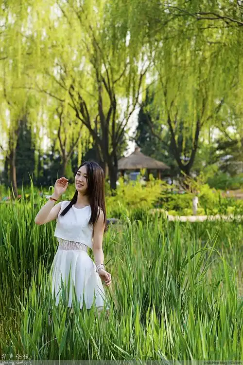 公园外拍美女 - 风雨兼程 - shyfuhlee的博客