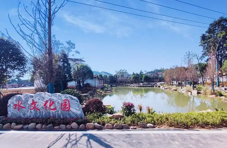 书香村将小微水体进行贯通互联,一口臭水塘变成了景观塘.