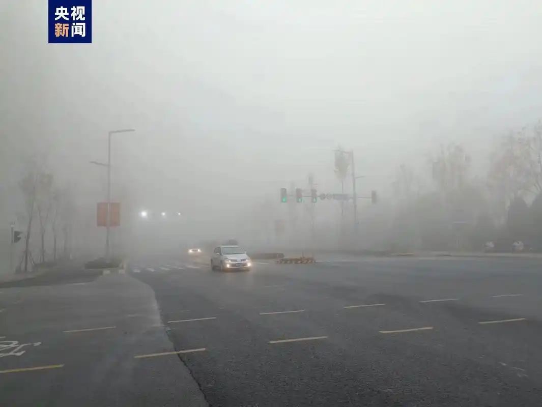 河北发布大雾黄色预警多地高速临时关闭沿线站口