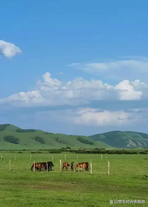 塞上草原怎么玩?越野 那达慕狂欢,19种娱乐项目好玩到停不下来