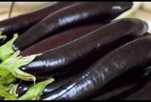 布茄:2.58元一斤