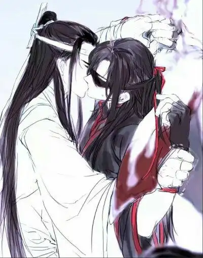 魏无羡(魏婴)蓝忘机(蓝湛)#魔道祖师
