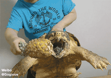 青年图摘0923!这个骗子的前途无可估量