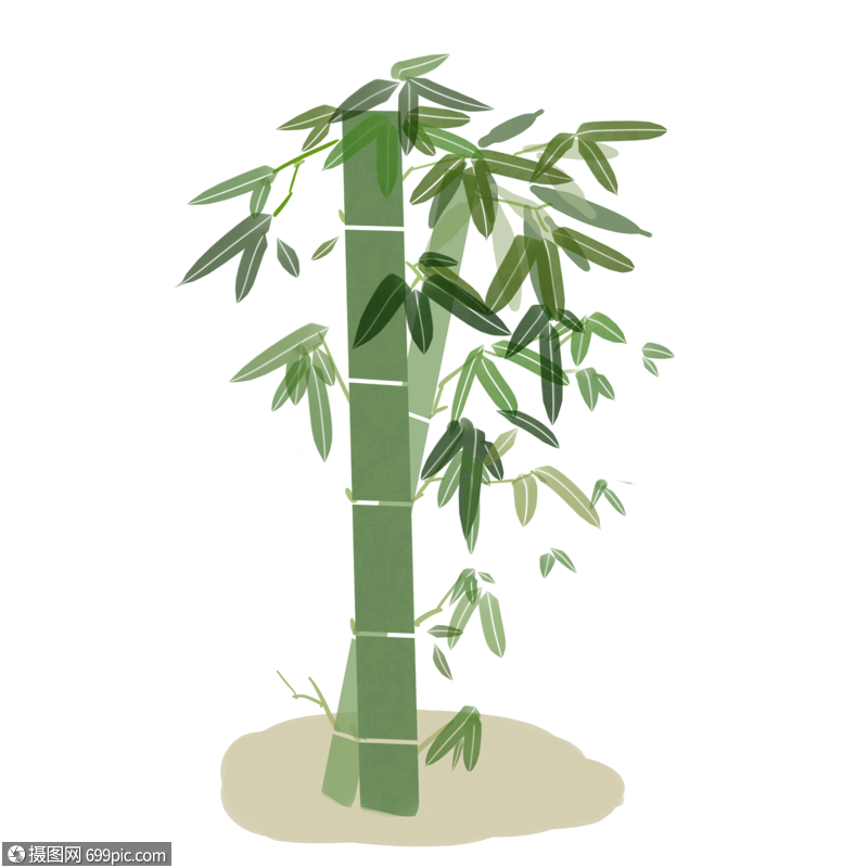 卡通竹子素材免抠图片