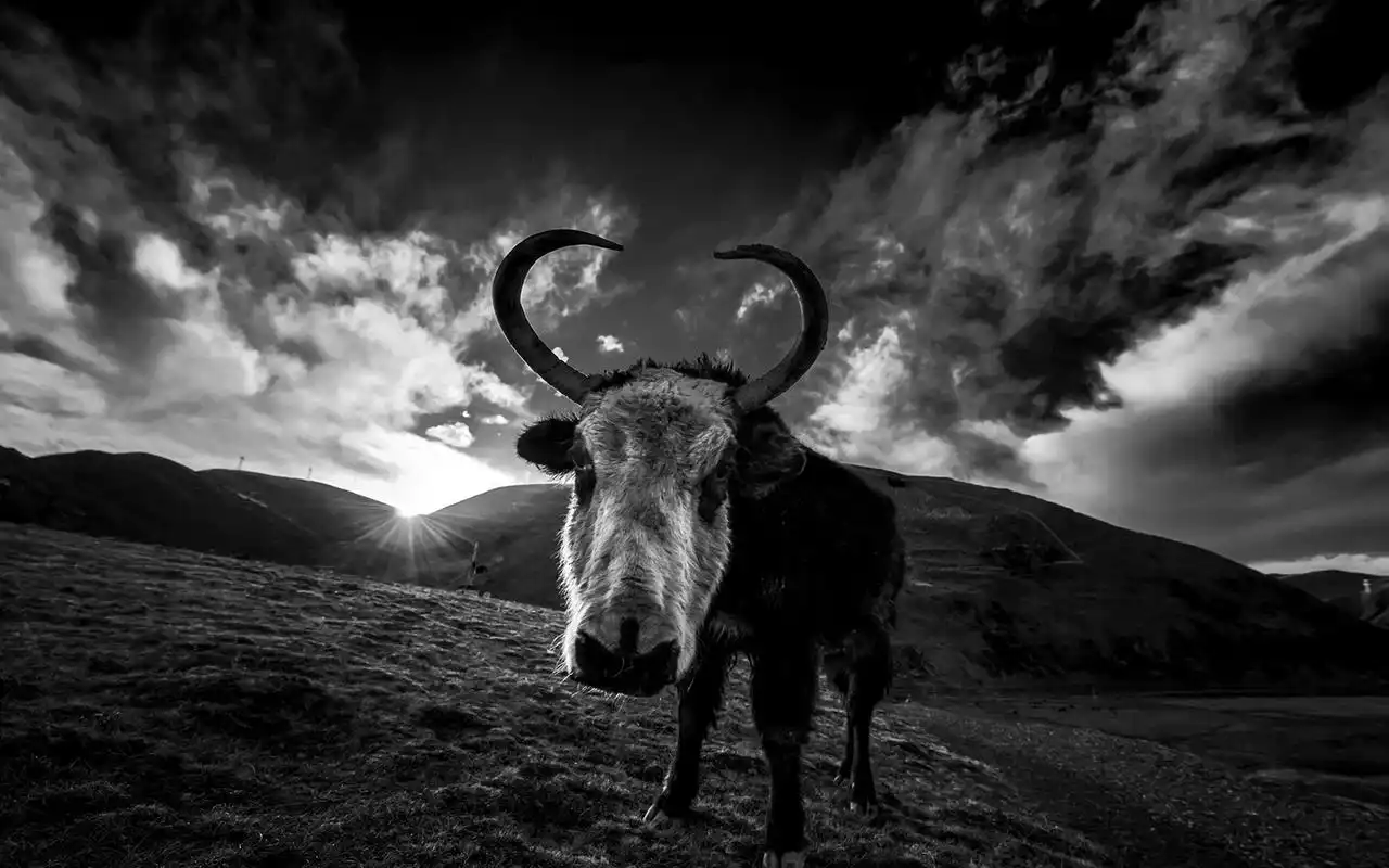 风景壁纸,唯美,高清,自然风光,黑白,山川,河流,壁纸,1920x1200