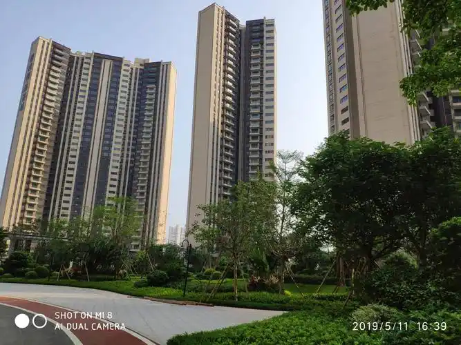 惠州碧桂园深荟城3期最新消息 - 大亚湾临深楼盘_惠阳临深片区_惠州临