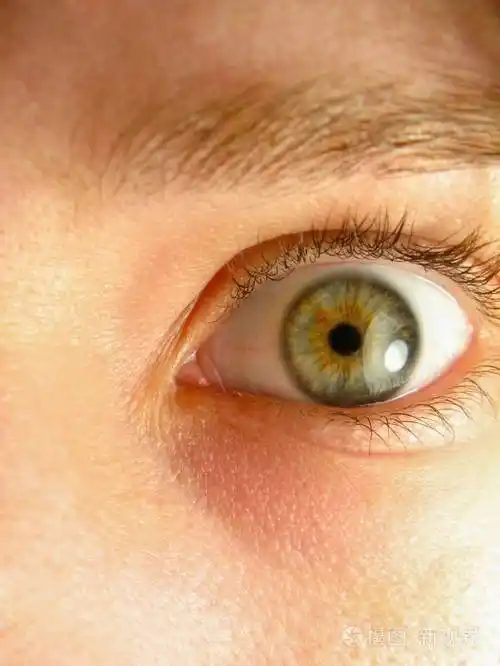 虹膜和瞳孔眼睛闭上美丽的浅绿色灰色棕色的眼睛有反射的光芒体检后