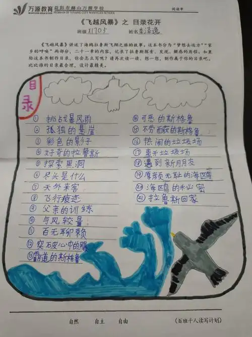 《飞越风暴》——梦想去远方 (目录花开)