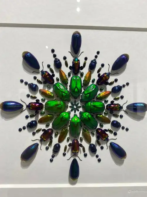 christophermarley的自然艺术展国泰艺术