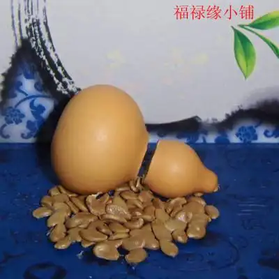 苹果文玩八宝蚂蚁三庭观音瓶草里金饱籽盆栽天然迷你种子葫芦