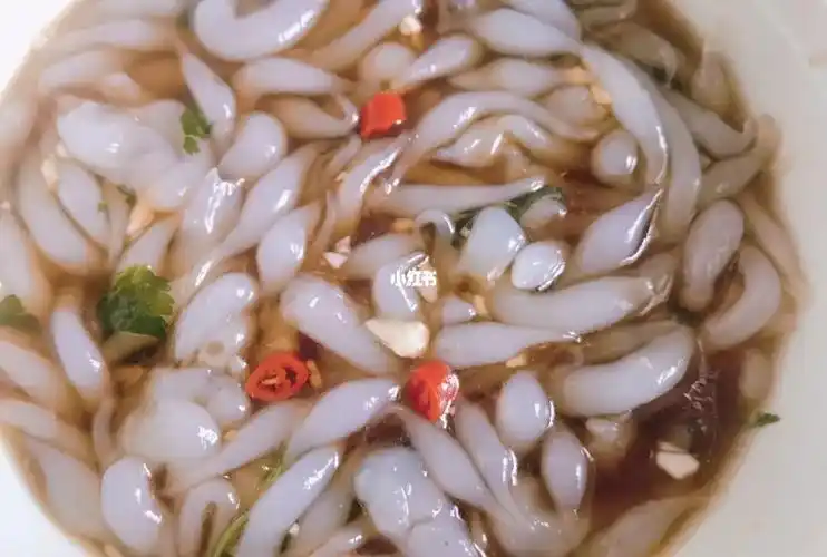 家庭简易版漏鱼