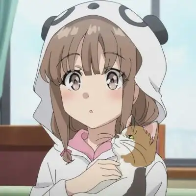 青春猪头少年梓川枫