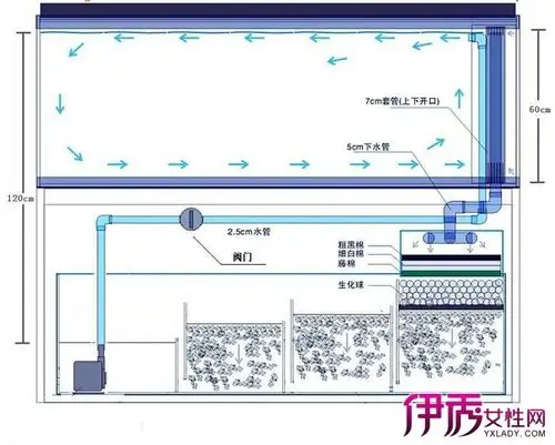 【图】揭秘鱼缸底滤原理 解析其优缺点及如何弥补缺陷