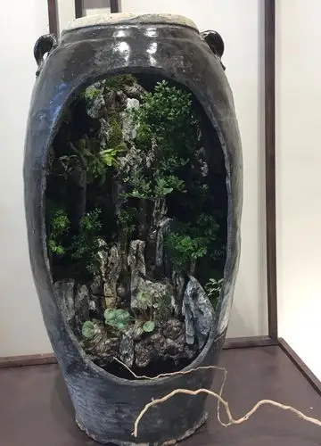 破缸里别有洞天