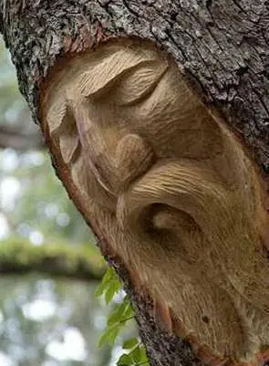 美国一男子在树上雕刻出形态各异的人脸面孔画风诡异