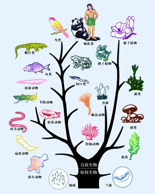 我想知道我的世界有哪些生物,回答尽量说详细点,最好有图片.