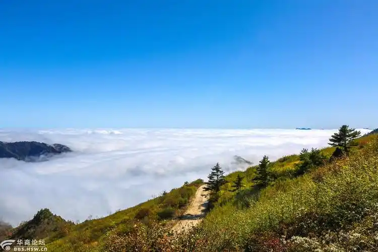 仙境般的秦岭分水岭秋景