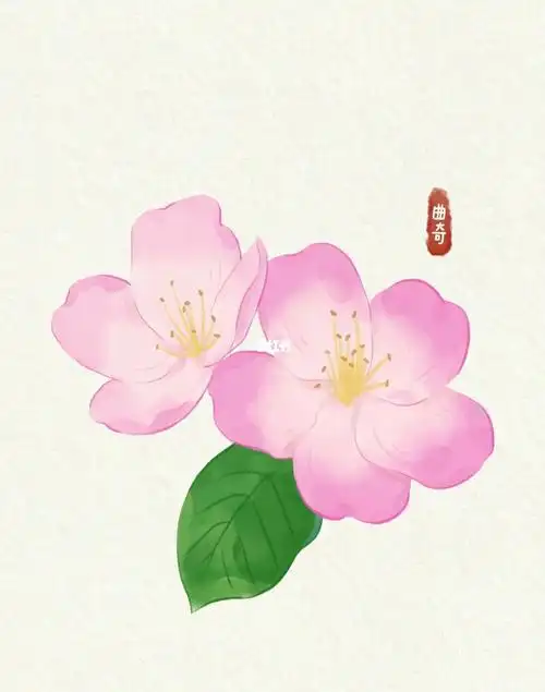 水彩海棠花打卡100天day43原创插画