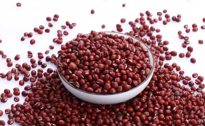 红豆和相思豆有区别吗(红豆和相思豆的区别)