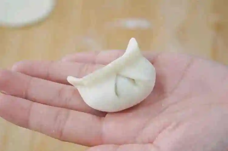 教程三角形(初学者简单慢动作可以快速包出元宝正方形饺子的图解教程)