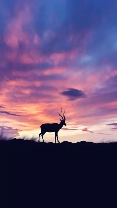 收集   点赞  评论  风景壁纸 手机平铺壁纸 锁屏壁纸 0 169 林德胡