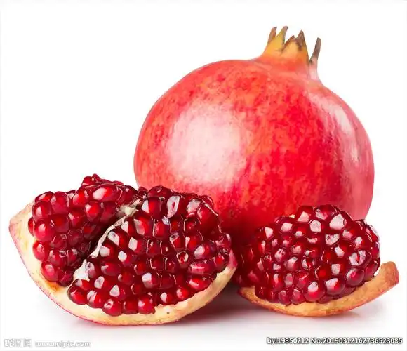 石榴素材 图片 psd