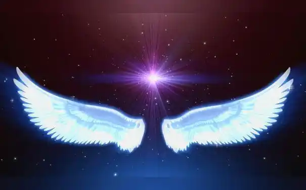 六,被天使遗忘的翅膀的唯美句子?