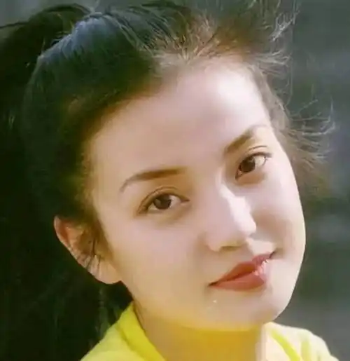 亲日辱华,殴打孕妇,"狂妄自大"的赵薇终于付出了应有代价!