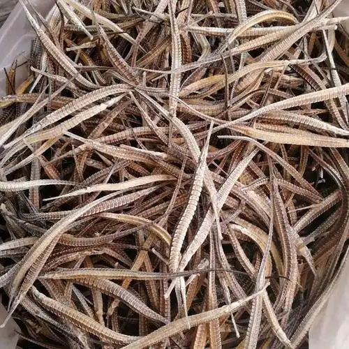 供应海龙各种规格 海龙质优价廉