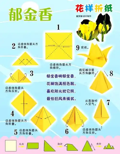 花样郁金香的折法 折郁金香教程