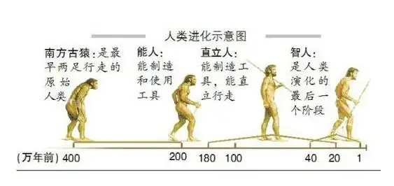 [科普中国]-古猿:人类的祖先- · 科普中国网