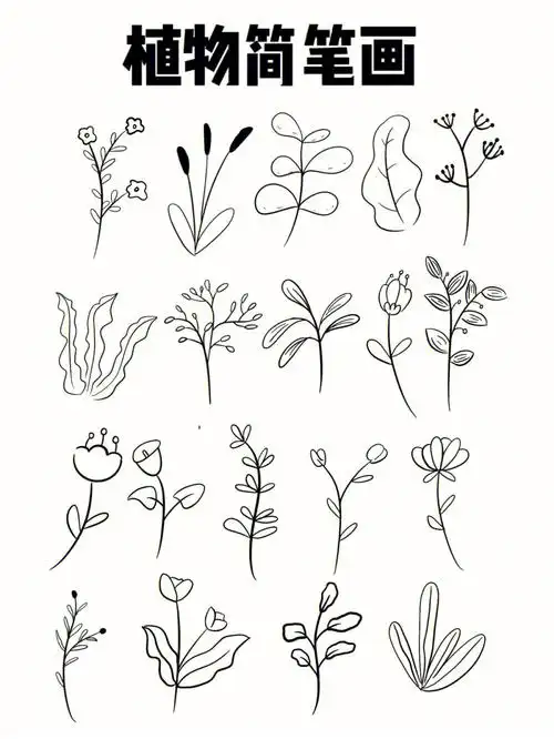 植物简笔画③