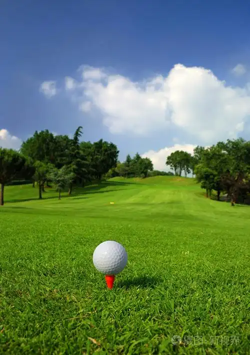 高尔夫球场照片-正版商用图片0vio16-摄图新视界