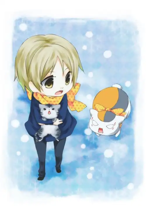 q版的,夏目,不准爱除了我以外的猫咪