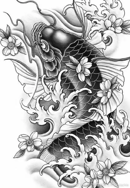 传统纹身##锦鲤##锦鲤纹身##鲤鱼纹身