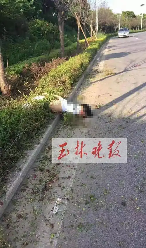 警示陆川短短两天发生3起车祸有鬼火少年摔断腿有人倒地不起