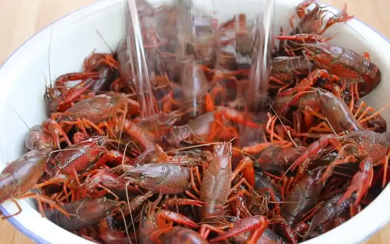 这样挑选小龙虾壳薄肉又多,快速清洗小龙虾诀窍,看完视频才明白_哔哩